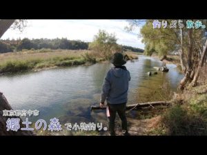 東京都府中市 多摩川「郷土の森」で小物釣り。広い多摩川の中でも郷土の森公園近くは雰囲気最高です！