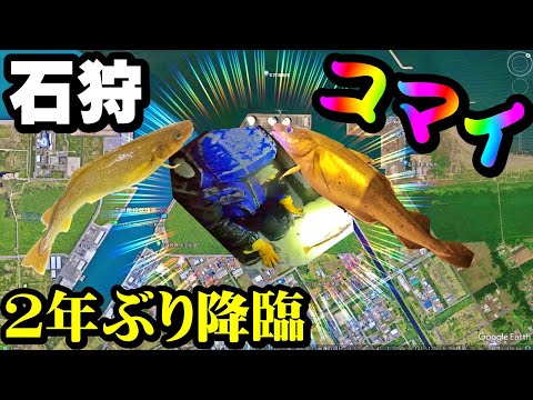 【釣り】北海道・コマイ・石狩湾・オオマイ降臨２年ぶり・デカハゼ・投げ釣り：2022年12月