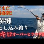 【玄界灘】 まだまだ終わらない❕落とし込み釣り　狙うは大型・高級魚❕❕