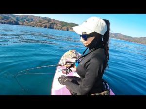 この釣り、最高。サップで青物ジギングしたら入れ食いでした。
