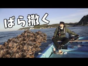 自分で船運転してポイントに大量の【カキ】をばらまいて釣りしてみたら爆釣したww