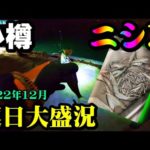 【釣り】ニシン・北海道小樽港・サビキ・夜釣り・ポイント・初心者解説：2022年12月