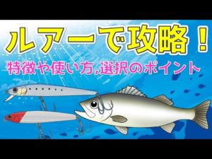 【解説動画】シーバス釣りはルアーで攻略！初心者向けに種類別の特徴と選び方をご紹介！