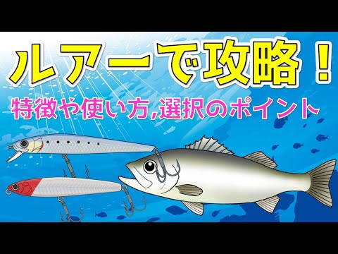 【解説動画】シーバス釣りはルアーで攻略！初心者向けに種類別の特徴と選び方をご紹介！
