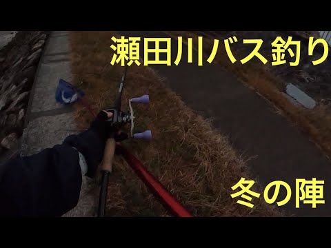 【バス釣り】お蔵入りしてた釣果報告　琵琶湖