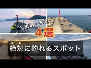 行かなきゃ損！東京・千葉で絶対に釣れる釣りスポット4選はここ！
