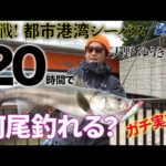 シーバスエキスパートは20時間で何尾シーバスが釣れるかチャレンジ！大野ゆうきin東京湾【DAIWAモアザン20周年記念企画】