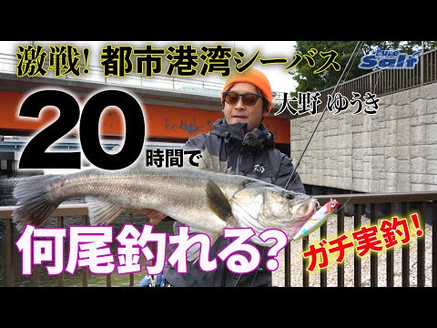 シーバスエキスパートは20時間で何尾シーバスが釣れるかチャレンジ！大野ゆうきin東京湾【DAIWAモアザン20周年記念企画】