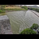 足元の水路で記録級のバケモノが入れ食いした