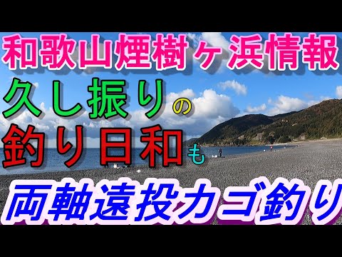 12-28　煙樹ケ浜釣り情報・取材編