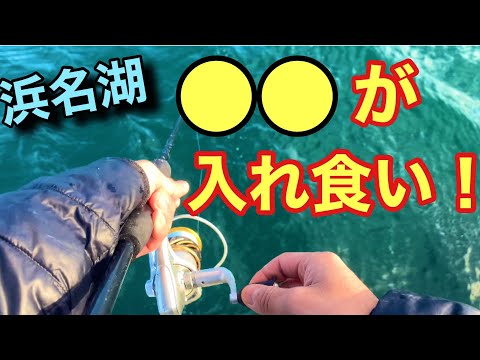 浜名湖新居海釣り公園で入れ食い！これがまた美味い！！