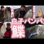 【ちょい投げ／投げ釣り】白子パンパンカレイ今年も律儀に絶好釣!!　大阪・岸和田一文字のカレイ釣り