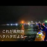金浦漁港付近ハタハタ釣り！！ついに来たぞ！！