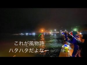 金浦漁港付近ハタハタ釣り！！ついに来たぞ！！