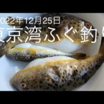 東京湾ふぐ釣り 2022年12月25日
