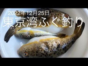 東京湾ふぐ釣り 2022年12月25日