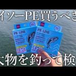 ダイソーの激安PEラインは果たして買うべきか？大物を釣りまくって検証してみた【PEラインの特徴も解説】