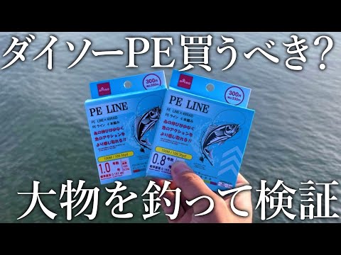 ダイソーの激安PEラインは果たして買うべきか?大物を釣りまくって検証してみた【PEラインの特徴も解説】