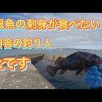 【岩手県＆青森県釣り】大物根魚を求め、またしても久慈へ！！
