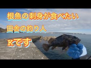 【岩手県＆青森県釣り】大物根魚を求め、またしても久慈へ！！