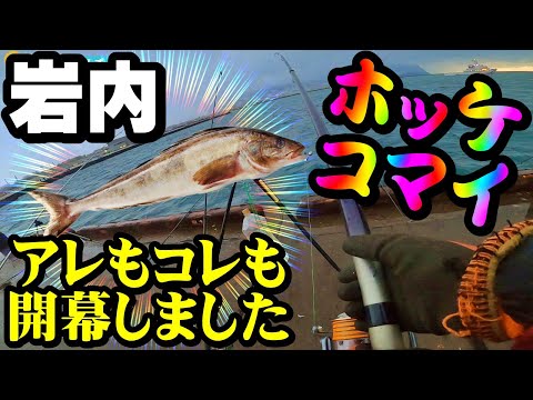 【釣り】ホッケ・北海道岩内港・コマイ・マメイカ・ソウハチガレイ開幕：２０２２年１２月