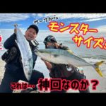 「神回？」初場所で衝撃を受けた‼️モンスター登場‼️