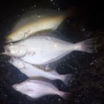 2022年　年末の極寒カレイ釣り＃ソウハチガレイ＃投げ釣り＃夜釣り