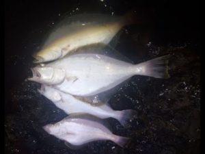 2022年　年末の極寒カレイ釣り＃ソウハチガレイ＃投げ釣り＃夜釣り