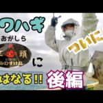 今年最後のカワハギ釣りをしよう！【竿頭に俺はなる！！カワハギ釣り後編】