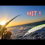 【サーフ釣り】キタッ…！風速9mの海でとあるミノーを投げると...