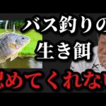 【村田基】バス釣りで生き餌を使用するのは邪道なのでしょうか？【村田基切り抜き】
