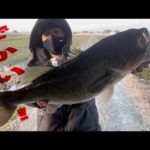冬のバス釣り【50up】1年間ありがとうございました！