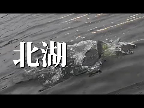 真冬の琵琶湖いってきました【バス釣り】