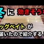 冬のバス釣りに効きそうなビッグベイトが届いたので紹介する。