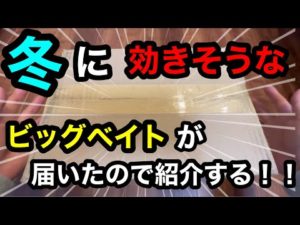 冬のバス釣りに効きそうなビッグベイトが届いたので紹介する。