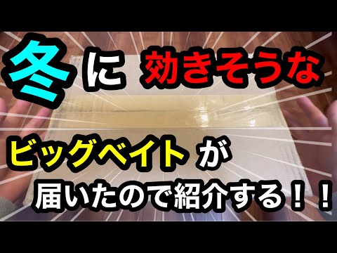 冬のバス釣りに効きそうなビッグベイトが届いたので紹介する。