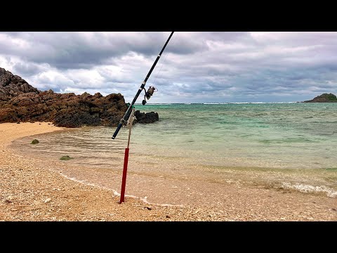 5日間ぶっこみ釣りして釣れた大物を捌いて食う【離島】