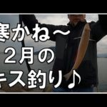 【キス釣り】あの鳥が襲来？！ 鱚釣り12月唐津へ行ってきました