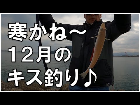 【キス釣り】あの鳥が襲来？！ 鱚釣り12月唐津へ行ってきました