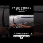 フカセ釣りで青物来たらめっちゃ引く #shorts