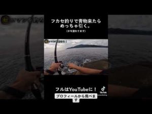 フカセ釣りで青物来たらめっちゃ引く #shorts