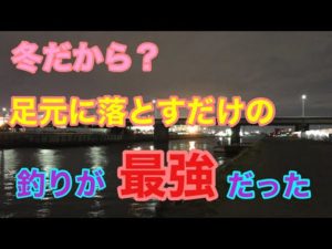 冬だから？足元に落とすだけの釣りが最強だった 名古屋港