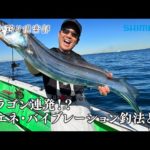 【おとな釣り倶楽部】テンヤタチウオの新機軸、省エネ・バイブレーション釣法