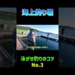 泳がせ釣りのコツ No.3【海上釣り堀】