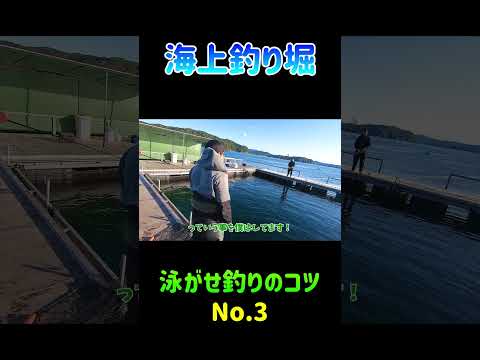 泳がせ釣りのコツ No.3【海上釣り堀】