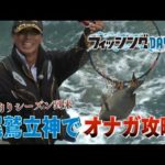 磯釣りシーズン到来　尾鷲立神でオナガ攻略