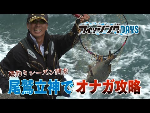 磯釣りシーズン到来　尾鷲立神でオナガ攻略