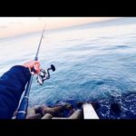 魚が全然釣れない時に大切なこと。