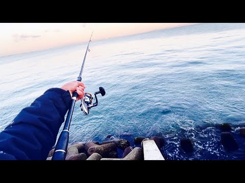 魚が全然釣れない時に大切なこと。