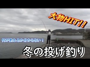 何が釣れるか分からない！冬の投げ釣りで大物GET！